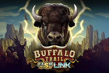 Buffalo Trail – Cash Mesh LINK
