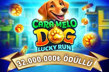 Caramelo Dog: Lucky Run